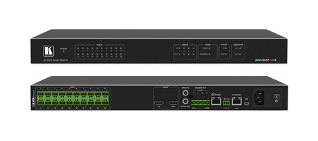 AFM-20DSP